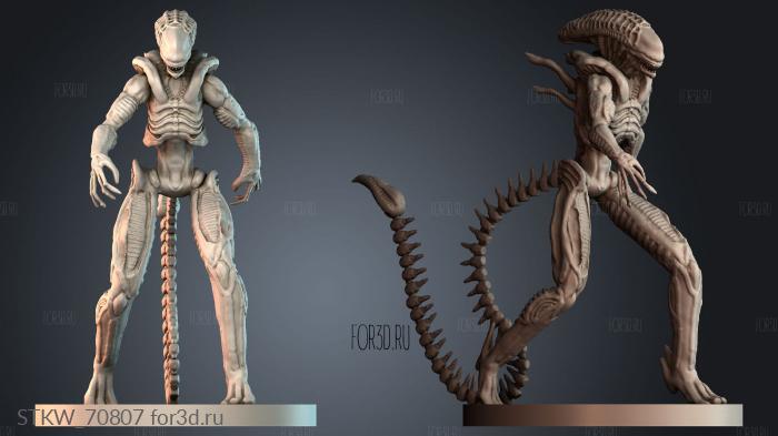 STKW_70807 stl model for CNC