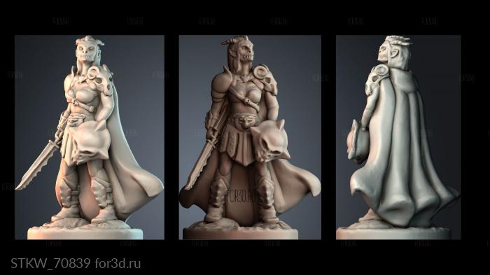 STKW_70839 stl model for CNC