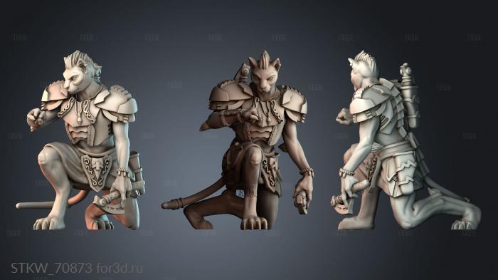 STKW_70873 stl model for CNC