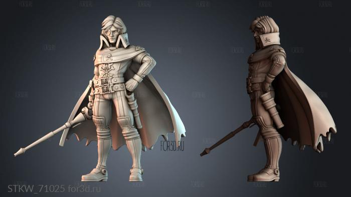 STKW_71025 3d stl модель для ЧПУ