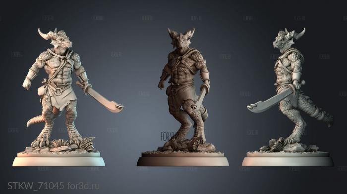 STKW_71045 stl model for CNC