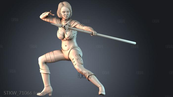 STKW_71066 stl model for CNC