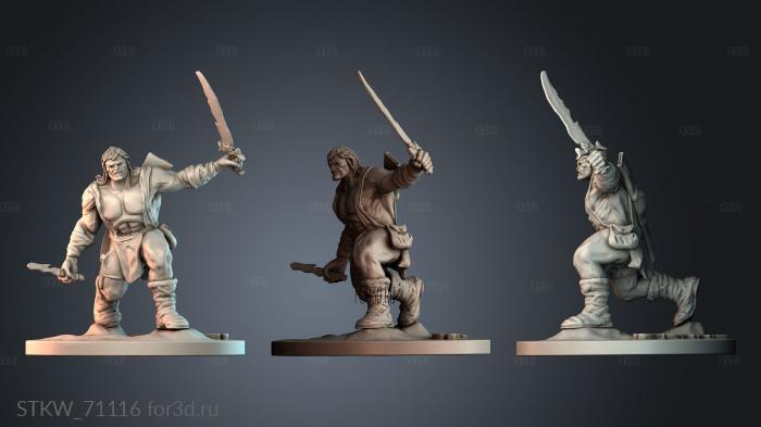 STKW_71116 stl model for CNC