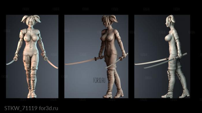 STKW_71119 stl model for CNC