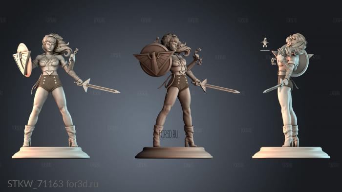 STKW_71163 stl model for CNC