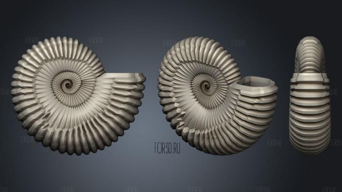 Ammonite 3d stl модель для ЧПУ