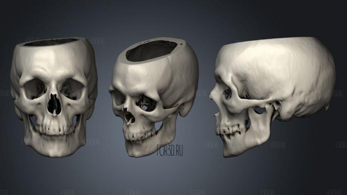 Skull Male 48yo stl model for CNC